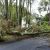 Spring Hill Storm Damage Cleanup by Freedom Land Services LLC